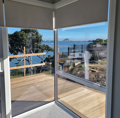 Professional house painting services in South Lake