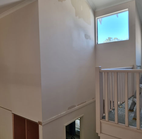 Professional house painting services in Meadow Munster